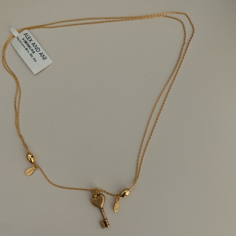 Alex and Ani Adjustable necklace